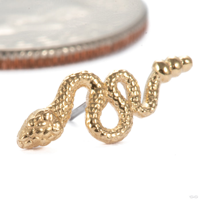 Slither Press-fit End in 14k Yellow Gold from Tawapa