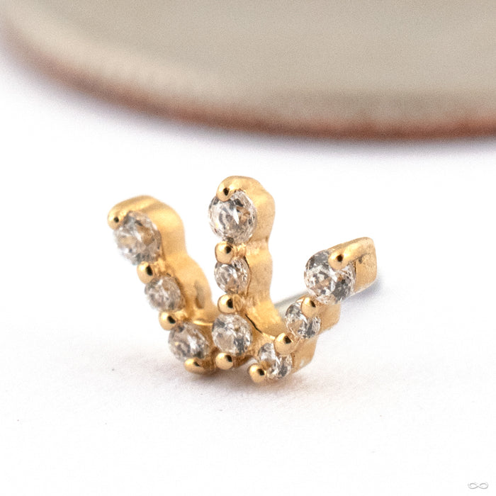 Snippet Press-fit End in Gold from Ember Body Jewelry in 14k Yellow Gold with CZ