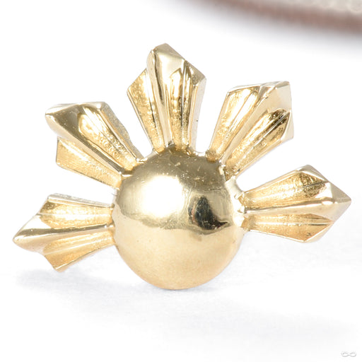 Sovereign Sun Fan Press-fit End in Gold from Regalia in yellow gold detail