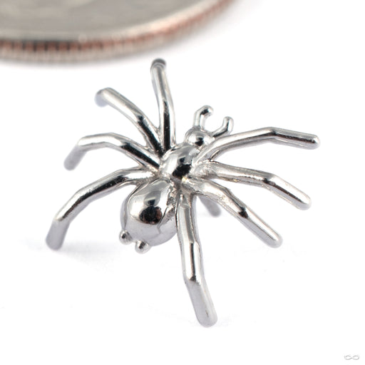 Spider Press-fit End in 14k White Gold from Tawapa