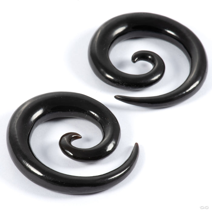 Spirals in 0g Horn from Tawapa