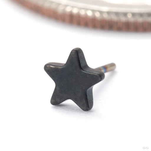 Star Press-fit End from Black Forest Jewelry in matte black niobium