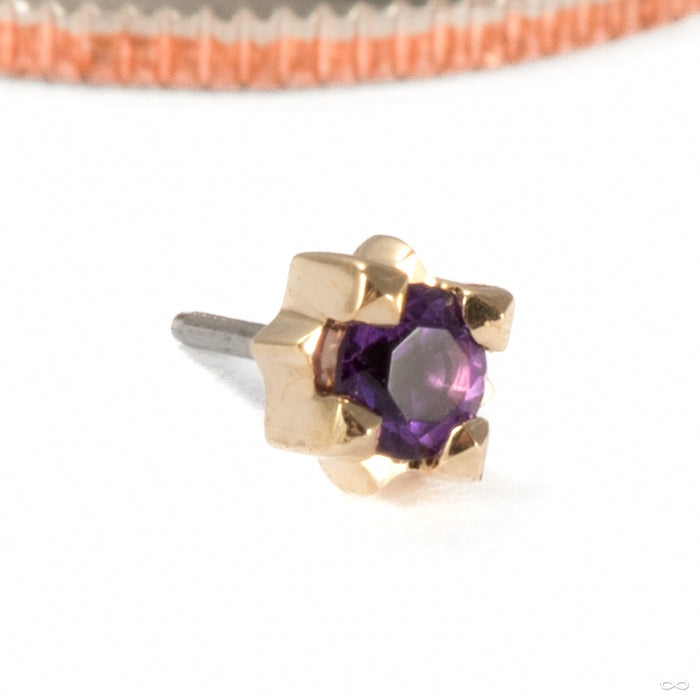 Stella Press-fit End in 14k Yellow Gold with Amethyst from Tether Jewelry
