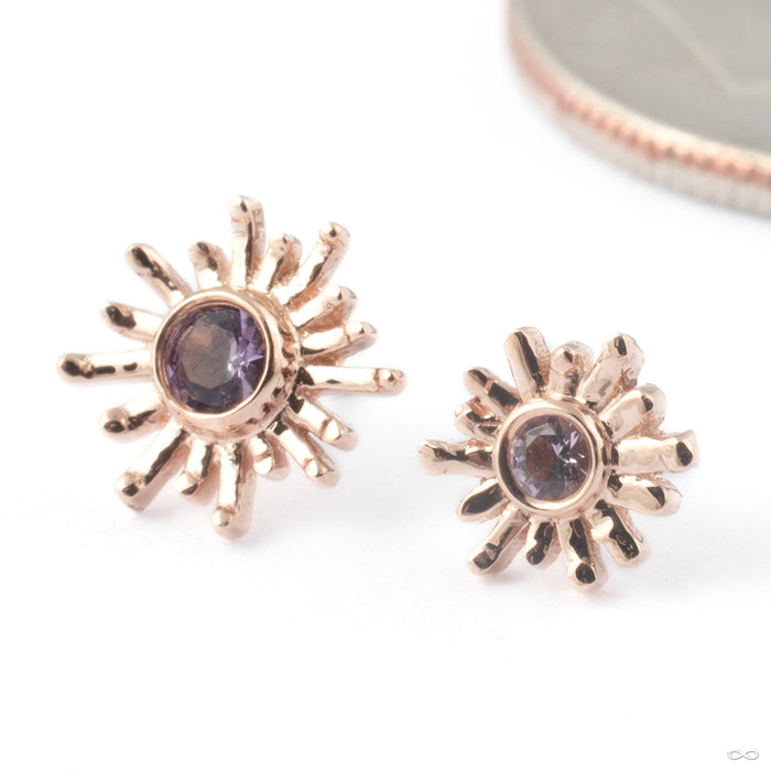 Sun Ray Press-fit End in Gold from BVLA in 14k Rose Gold with Light Amethyst