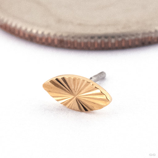 Sunray Seed Press-fit End in Gold from Quetzalli in 14k Yellow Gold