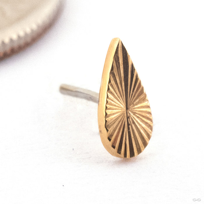 Sunray Teardrop Press-fit End in Gold from Quetzalli 14k Yellow Gold