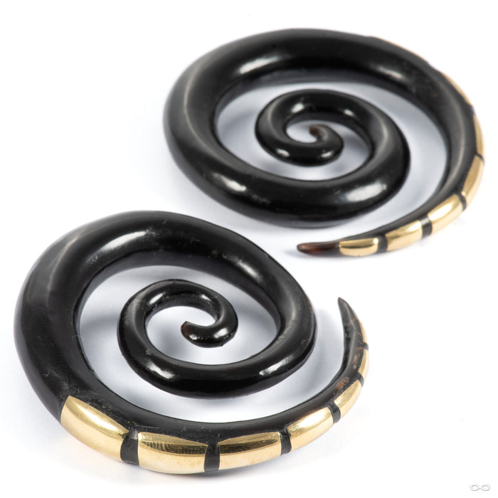 Super Spirals with Inlay in 00g Horn with Brass from Tawapa