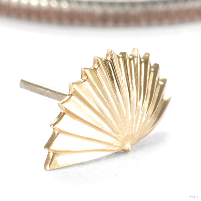 The Only Fan Press-fit End in Gold from Regalia in yellow gold detail
