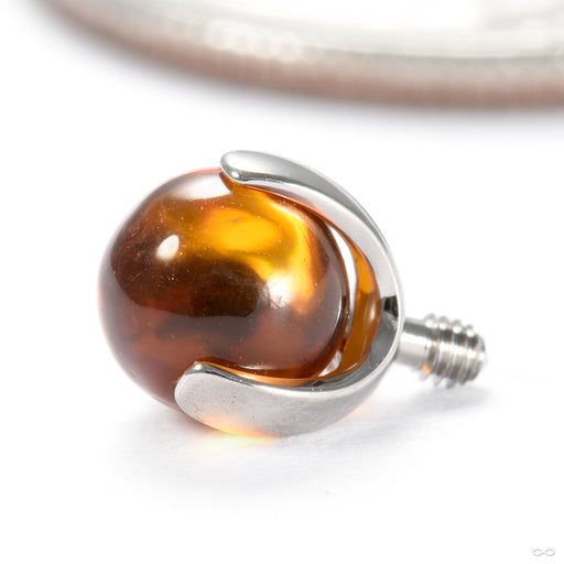 Three Prong Natural Stone Threaded End in Titanium from Industrial Strength in amber