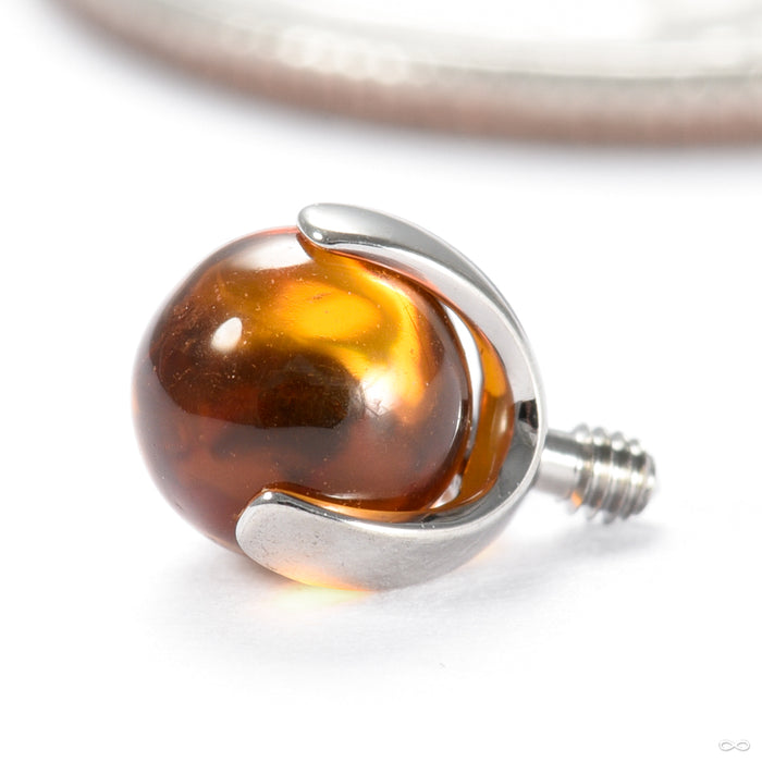 Three Prong Natural Stone Threaded End in Titanium from Industrial Strength in amber