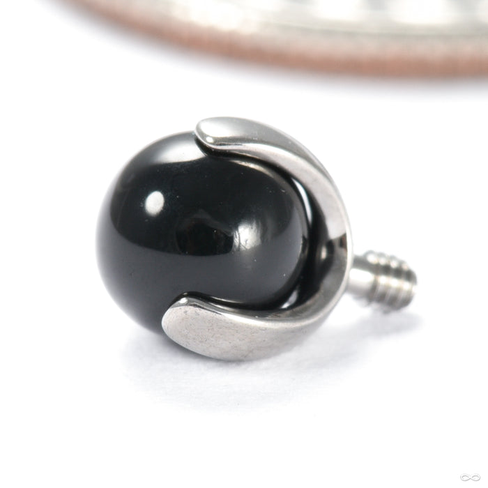 Three Prong Natural Stone Threaded End in Titanium from Industrial Strength in black onyx
