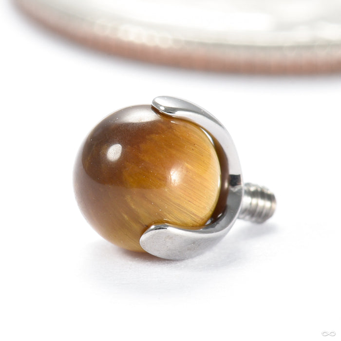 Three Prong Natural Stone Threaded End in Titanium from Industrial Strength in tiger eye