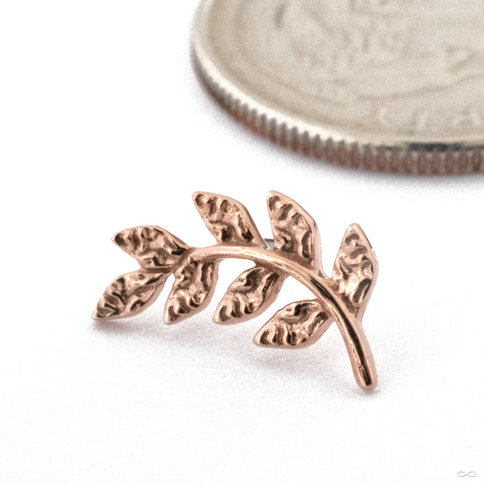 Thriving Press-fit End in 14k Rose Gold from Buddha Jewelry