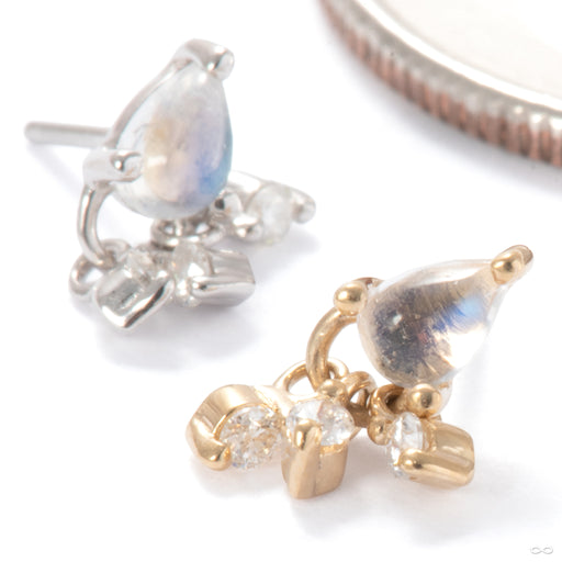 Tinsel Press-fit End in Gold from Ember Body Jewelry in assorted materials