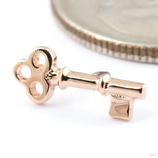 Tiny Key Press-fit End in Gold from BVLA in 14k Rose Gold