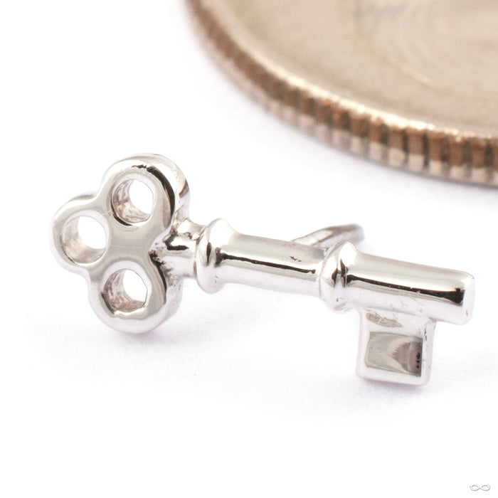 Tiny Key Press-fit End in Gold from BVLA in 14k White Gold
