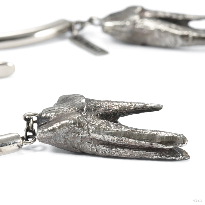 Tooth Weights from Eleven44 in white brass