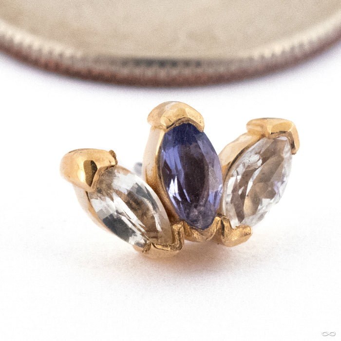 Triple Marquise Press-fit End in Gold from Quetzalli in 14k Yellow Gold with White Sapphire & Tanzanite 