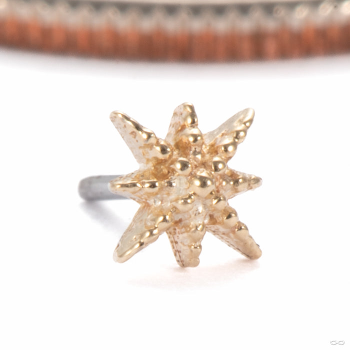 Twinkle Press-fit End in 14k Yellow Gold from Tawapa