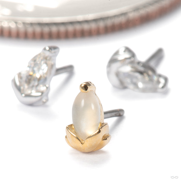 Uma Press-fit End in Gold from Junipurr Jewelry in assorted materials