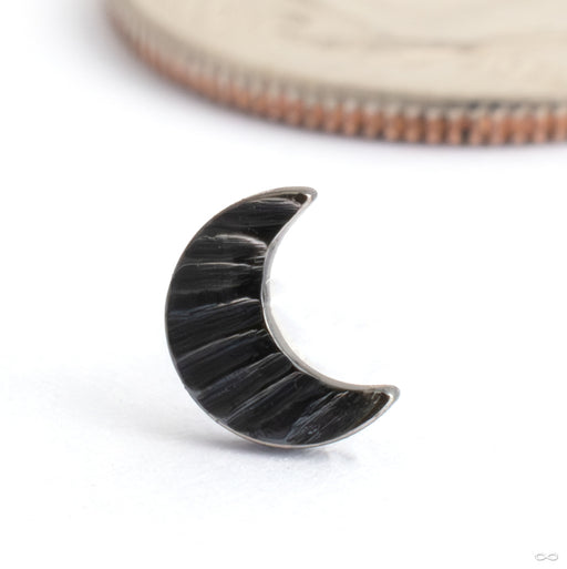 Wavelength Crescent Moon Press-fit End in High Polish Black Niobium from Black Forest Jewelry