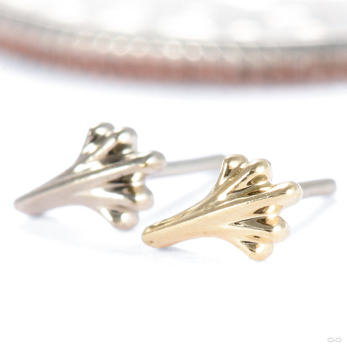 Whipsnap Press-fit End in Gold from Regalia in various materials