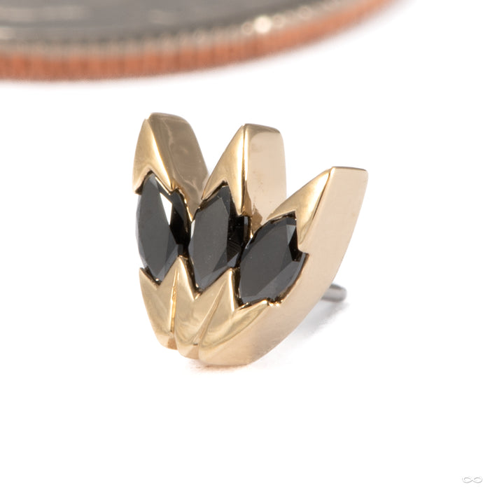 Xanadu Press-fit End in 14k Yellow Gold with Black Diamond from Tether Jewelry