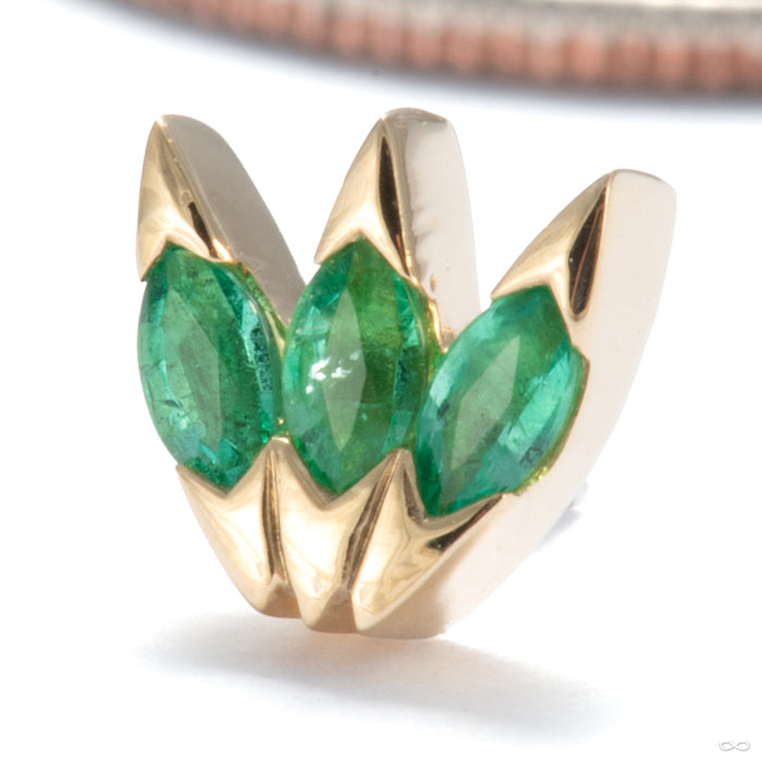 Xanadu Press-fit End in Gold from Tether Jewelry