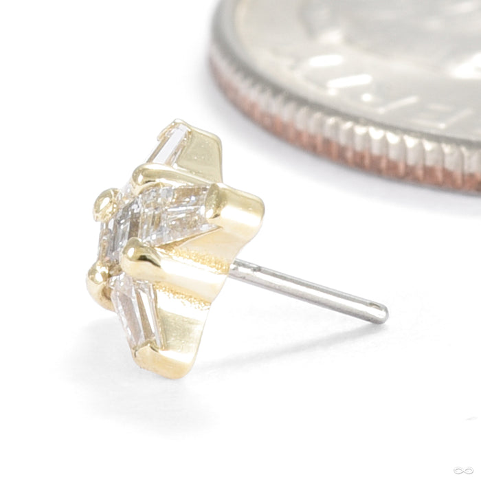 Xen Press-fit End in Gold from Seasons Handmade side detail