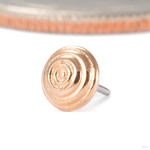 Zeta 00 Press-fit End in 14k Rose Gold from Tether Jewelry