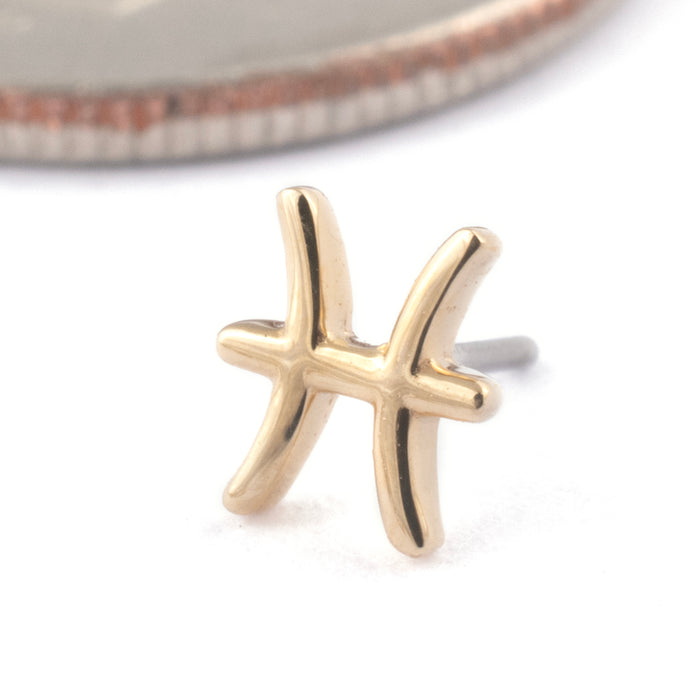 Zodiac Press-fit End in Gold from Junipurr Jewelry in 14k Yellow Gold Pisces