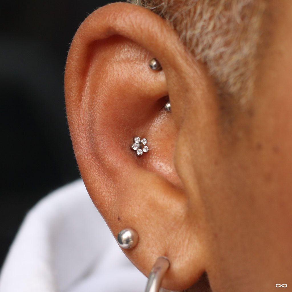 Conch piercing by Andru