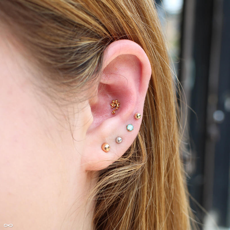 Conch piercing by John