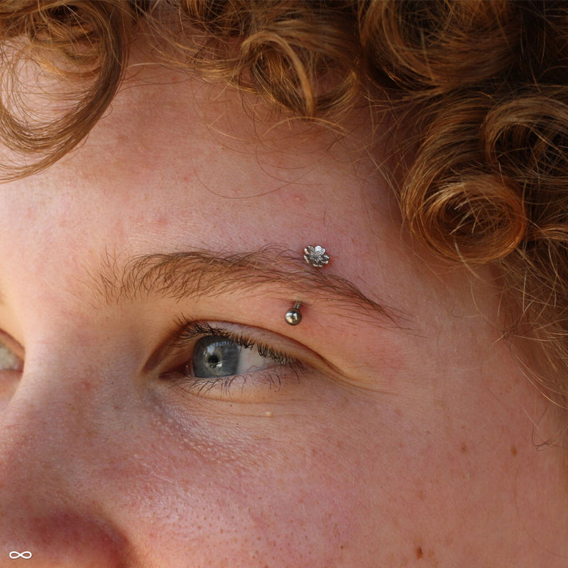 Eyebrow piercing by Andru