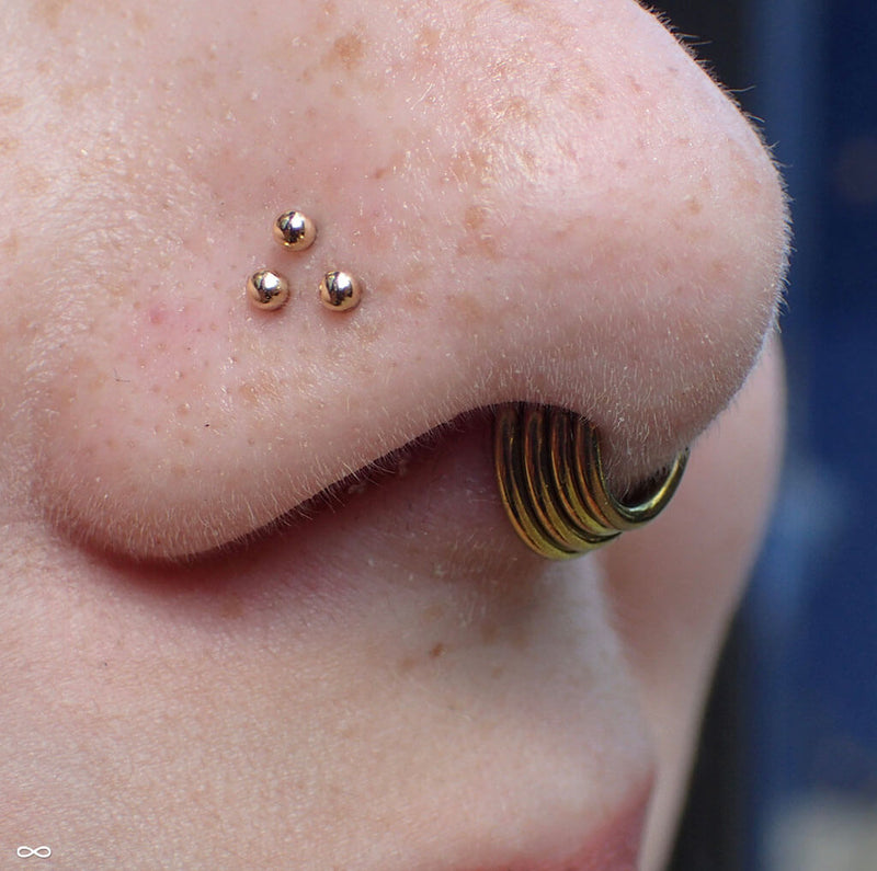 Nostril piercings by Zach