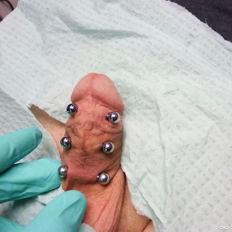 Frenum piercings by Robert