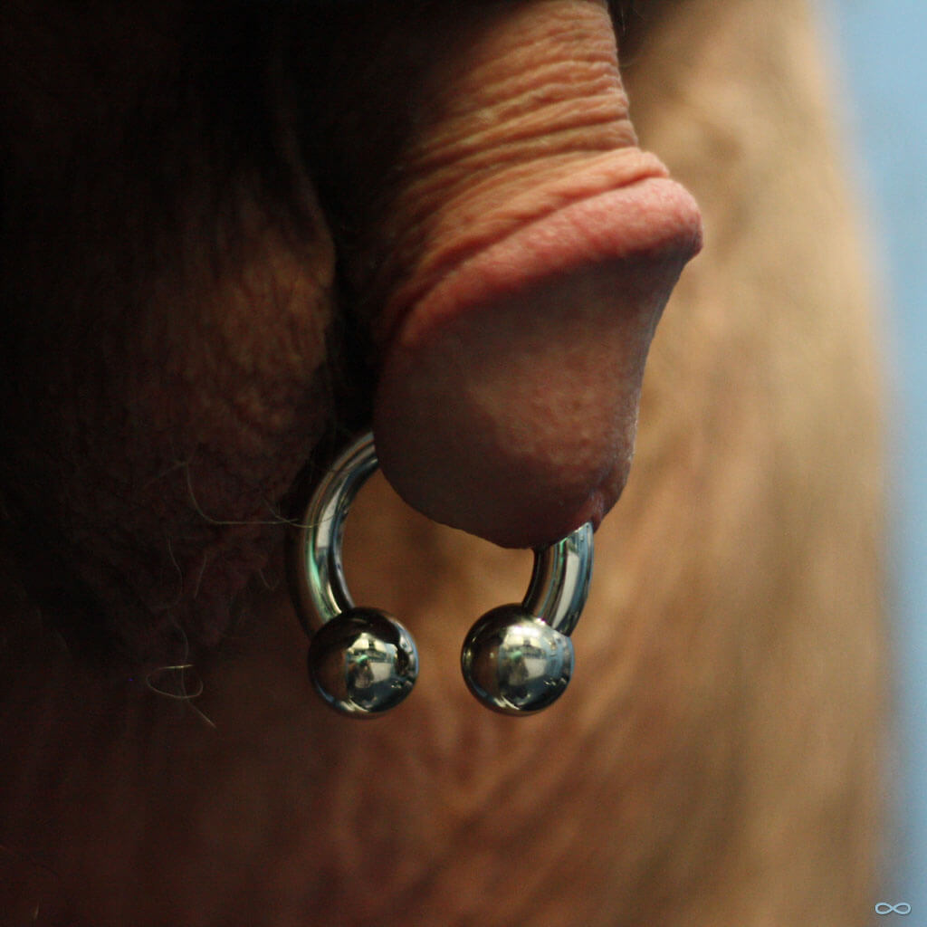 Penis Piercing FAQs Penis Piercing FAQs