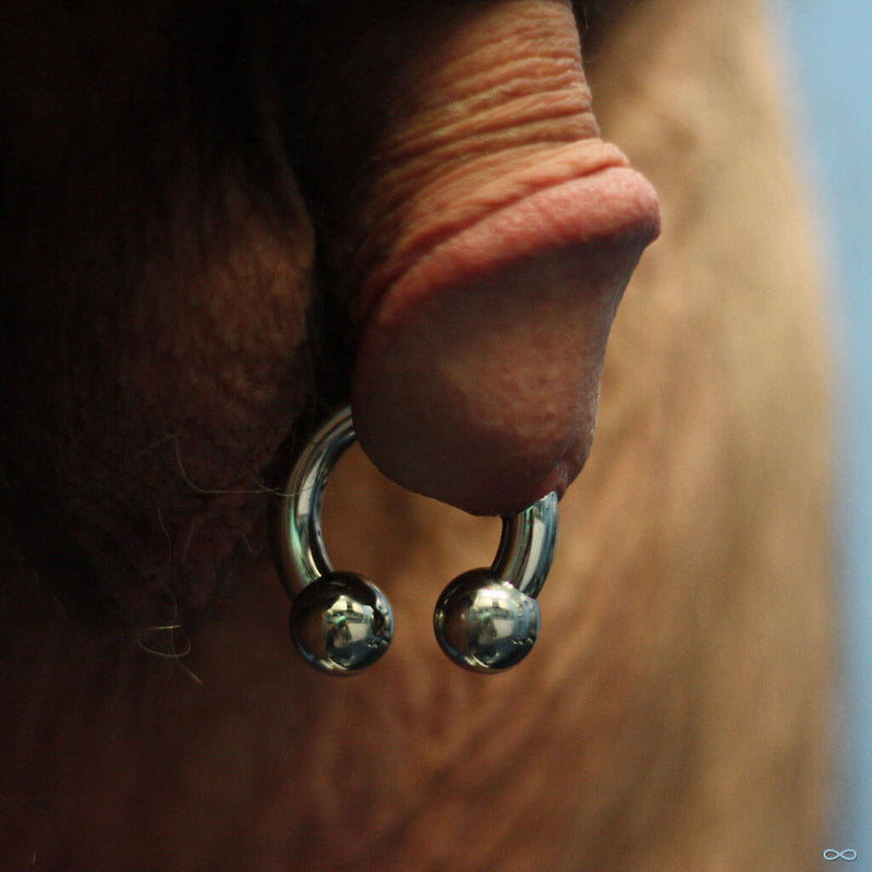Prince albert piercing by Andru