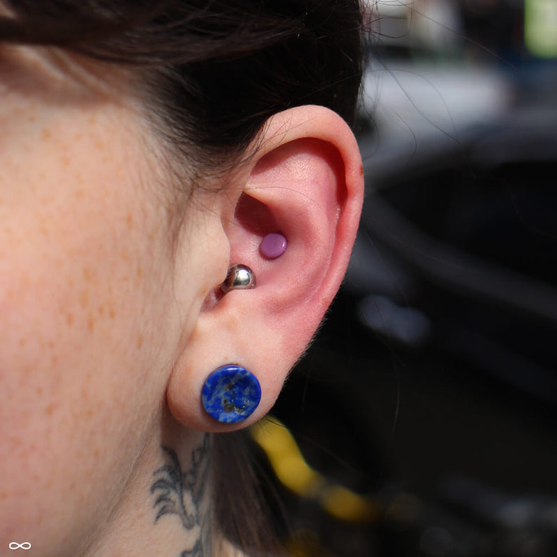 Large gauge conch piercing and stretched earlobe piercings