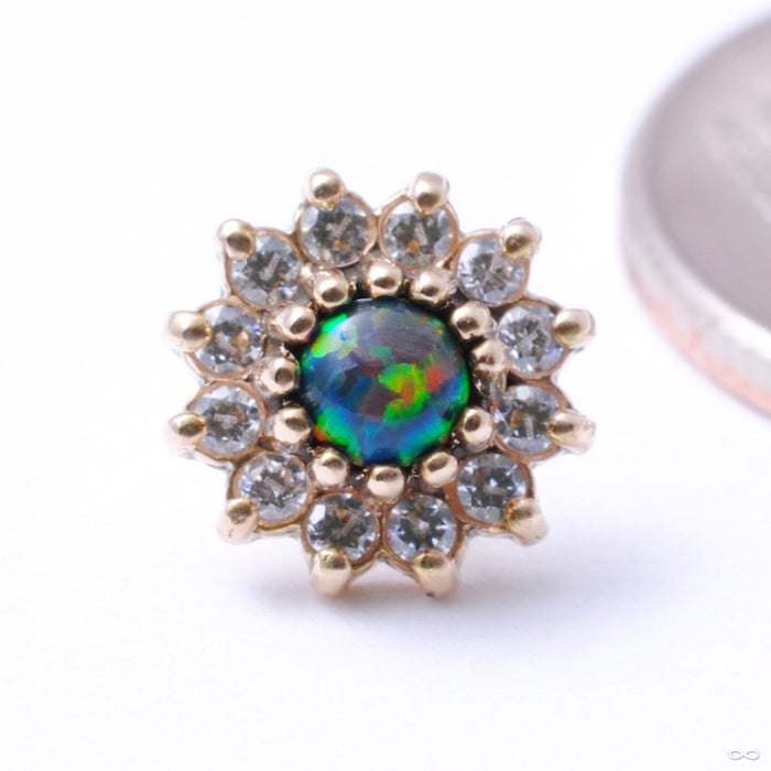 13 Stone Flower Press-fit End in Gold from LeRoi with Black Opal & Clear CZs