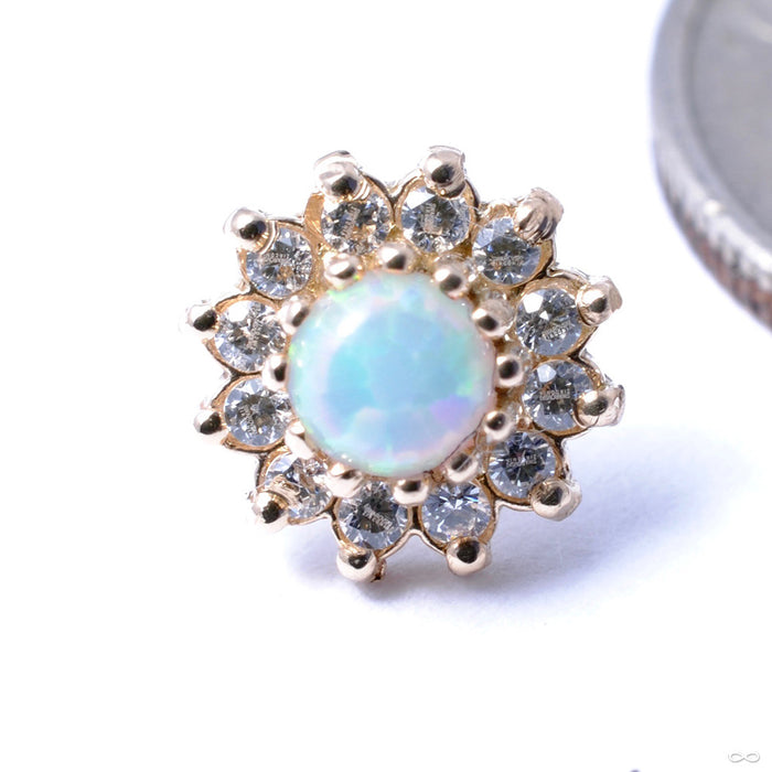 13 Stone Flower Press-fit End in Gold from LeRoi with White Opal & Clear CZ