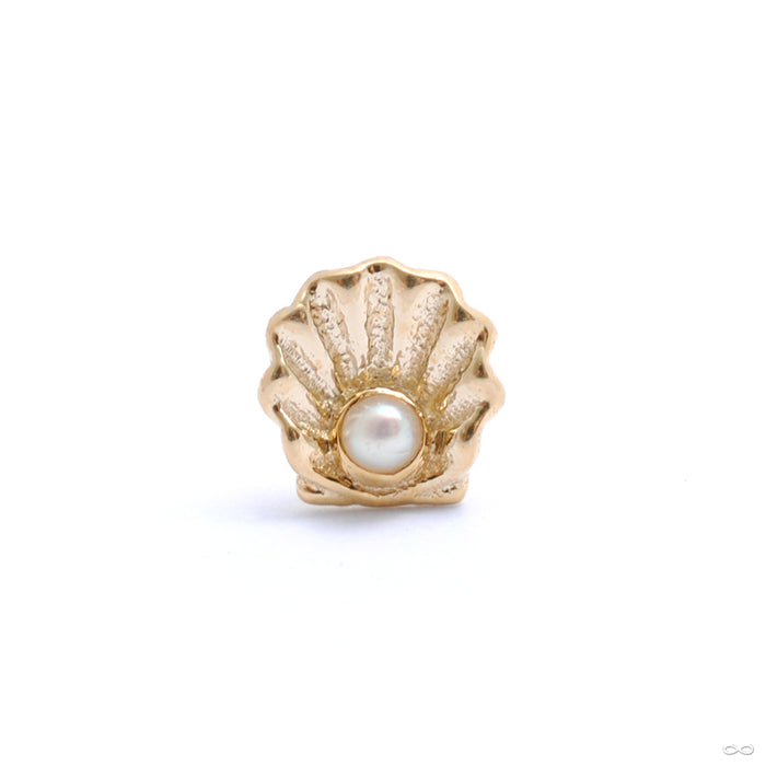 Scallop Press-fit End in Gold from BVLA with white pearl