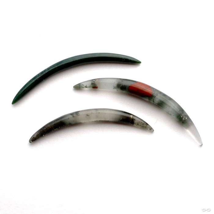 Septum Tusk in Stone from Oracle in Bloodstone