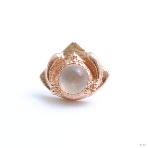 Queen Mother Press-fit End in Gold from Pupil Hall in rose gold with Moonstone