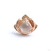 Queen Mother Press-fit End in Gold from Pupil Hall in rose gold with Moonstone