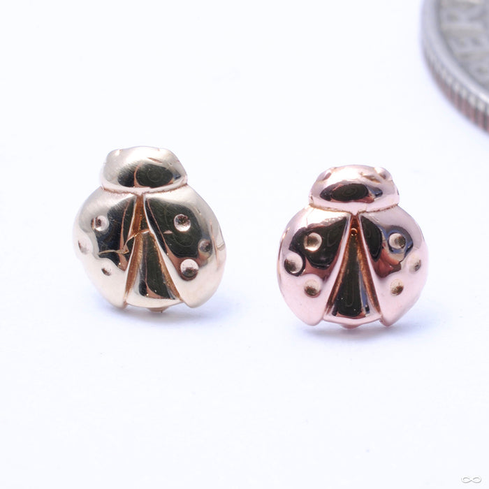 Ladybug Press-fit End in Gold from LeRoi