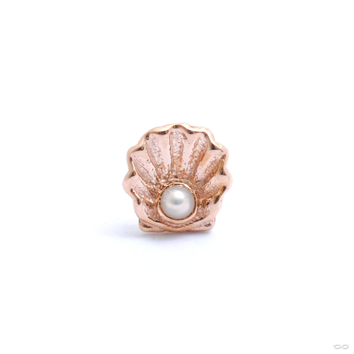 Scallop Press-fit End in Gold from BVLA with white pearl
