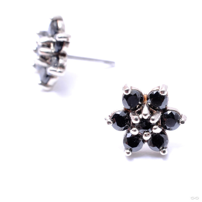 7 Stone Flower Press-fit End in Gold from LeRoi with Black CZ