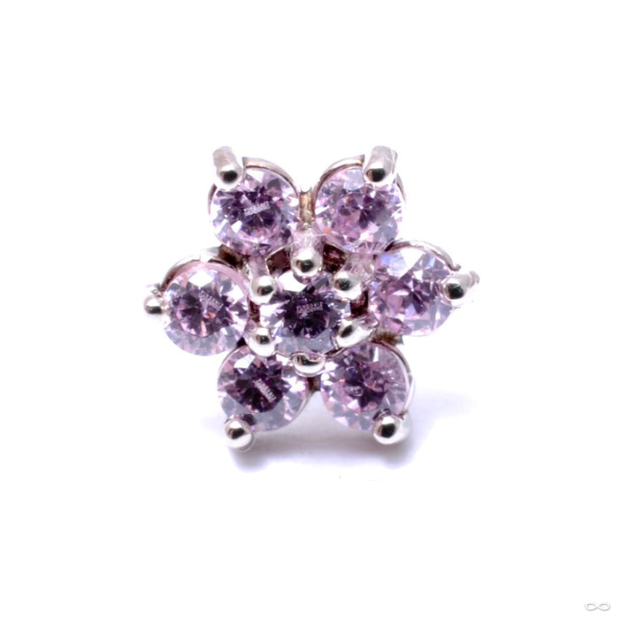 7 Stone Flower Press-fit End in Gold from LeRoi with Pink CZ