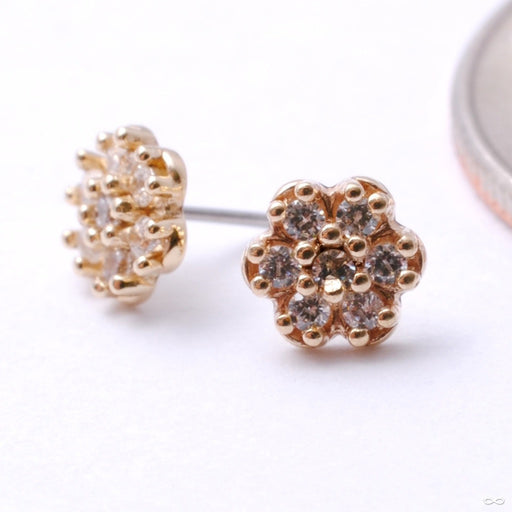 7 Stone Rounded Flower Press-fit End in Gold from LeRoi with Clear CZ